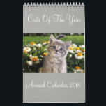 Katter i årskalendern 2018 kalender<br><div class="desc">Katter i årskalendern 2018</div>