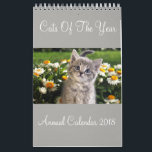 Katter i årskalendern 2018 kalender<br><div class="desc">Katter i årskalendern 2018</div>