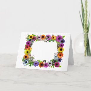 Katter i blommagräns kort