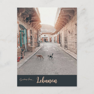 Katter i Douma Libanon Vykort
