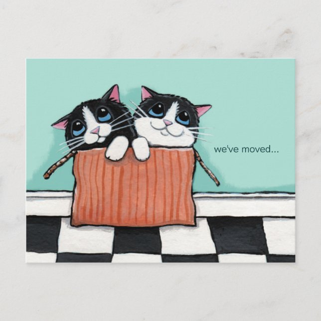 Katter i en förpackning | Meddelande från Vi har f Vykort (Framsida)