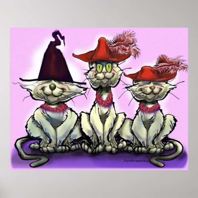 Katter i Funny Hats Poster (Framsidan)