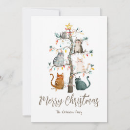 Katter i Helgdag Julgran Julkort