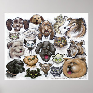 Katter i Hundar Poster