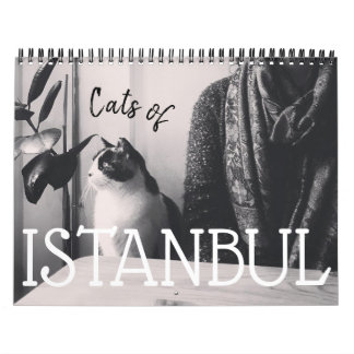 Katter i ISTANBUL-kalendern Kalender