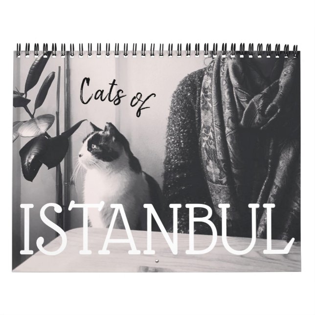 Katter i ISTANBUL-kalendern Kalender (Omslag)