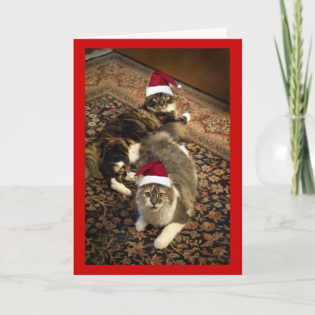 Katter i kort för hälsning för Santa hattjul (Framsida)