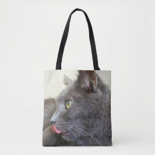 Katter i påsen tygkasse
