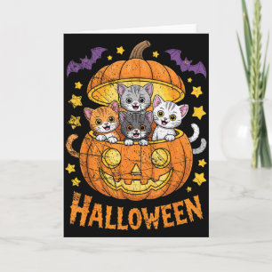Katter i pumpa söta Halloween kattungar roliga Kort