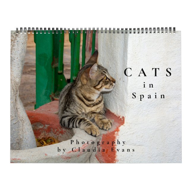 Katter i Spanien Kalender (Omslag)