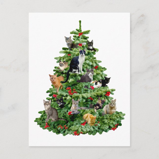 Katter i Träd Vykort (Framsida)