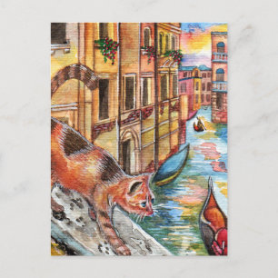 Katter i Venedig Vykort