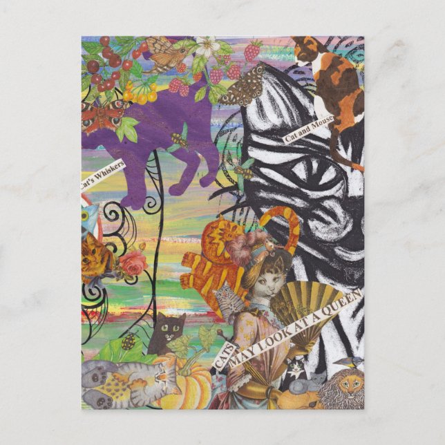 Katter kan titta på ett vykort för drottning (Framsida)