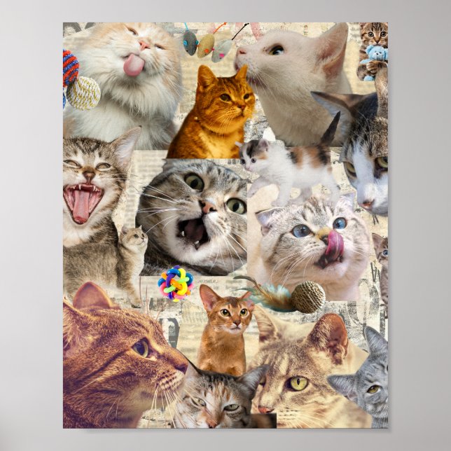 Katter katter katter... Katt Collage Affisch (Framsidan)