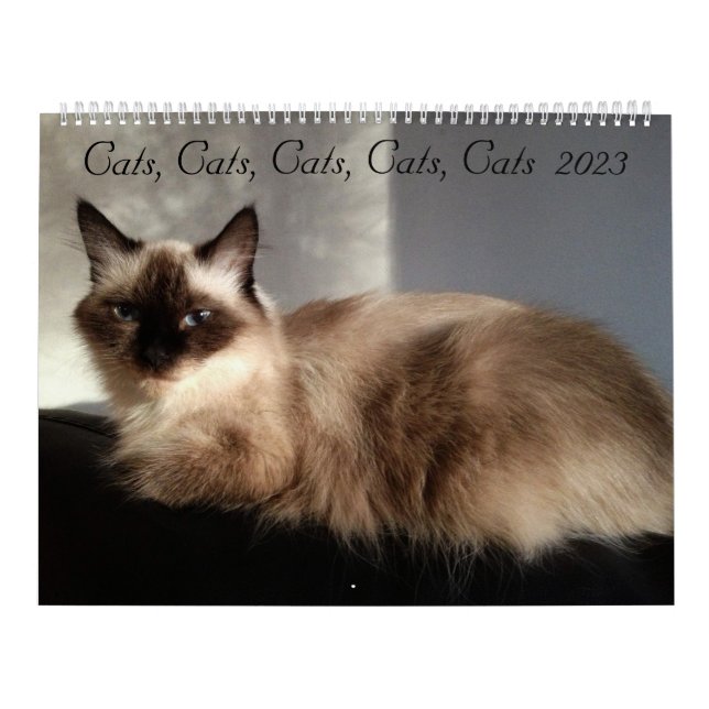 Katter, katter, katter, katter, katter, kalender f (Omslag)
