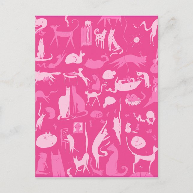 Katter! Katter! Katter! Vykort (Framsida)