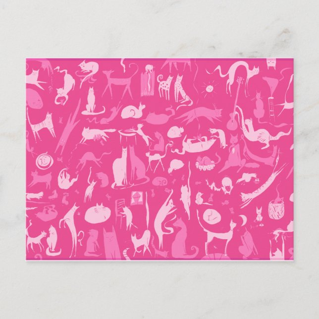 Katter! Katter! Katter! Vykort (Framsida)