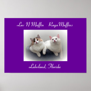 Katter & kattungar för Luv N muffintrashank Poster