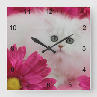 Katter kattungar, personifierar, shock rosa, fyrkantig klocka
