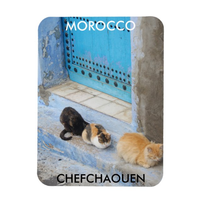 Katter, kokaouen, Marocko Magnet (Vertikal)