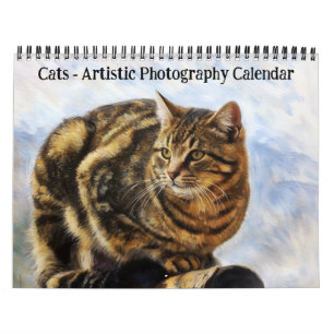 Katter - konstgjord fotokalender kalender