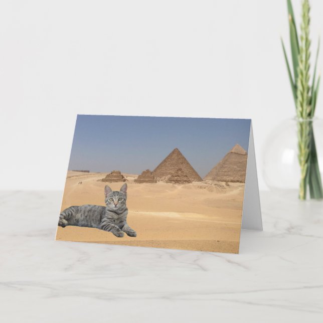 Katter! Kort (Framsida)