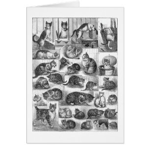 Katter, Louis Wain Hälsningskort