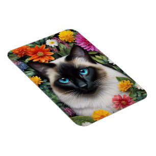 Katter Magnet