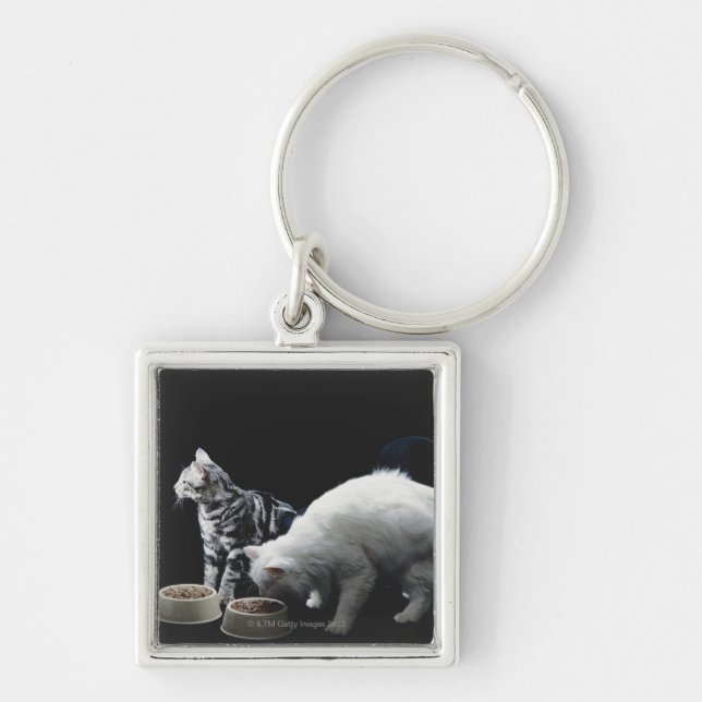 Katter med bunken av mat fyrkantig silverfärgad nyckelring (Framsidan)