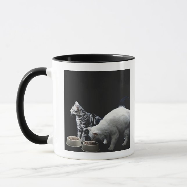 Katter med bunken av mat mugg (Vänster)