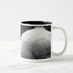 Katter med bunken av mat Två-Tonad mugg