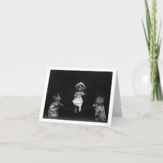 Katter med Doll Kort