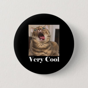 Katter Meme Grafik Rolig Katt Humor Rolig Katt Myc Knapp