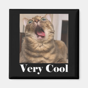 Katter Meme Grafik Rolig Katt Humor Rolig Katt Myc Magnet