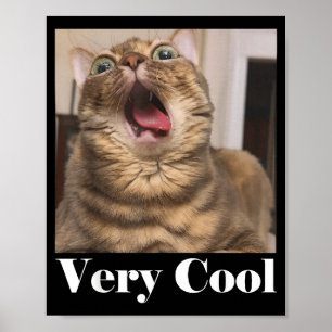 Katter Meme Grafik Rolig Katt Humor Rolig Katt Myc Poster