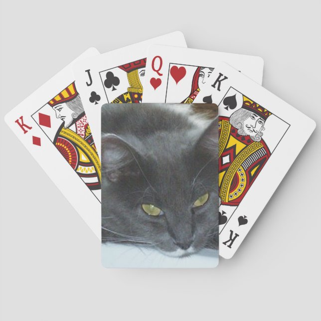 Katter mjau 8 spelkort (Baksidan)
