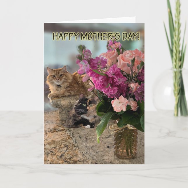 Katter och blommor för mors dagskort kort (Framsida)