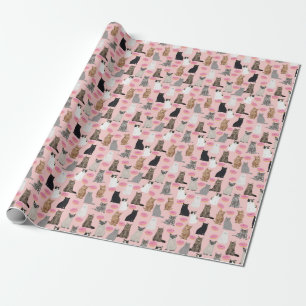 Katter och donötter, söta katt dam inslagna papp presentpapper