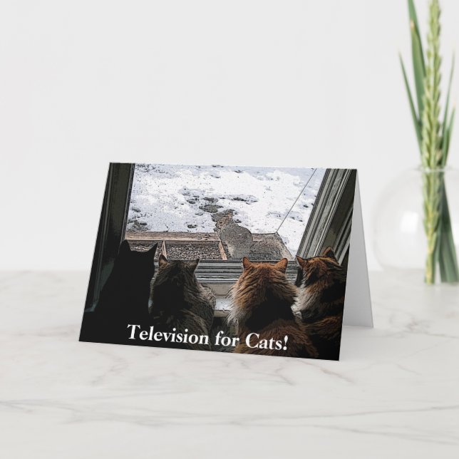 Katter och ekorre kort (Framsida)