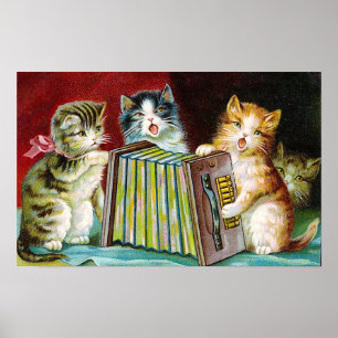"Katter och en saftbox" Poster