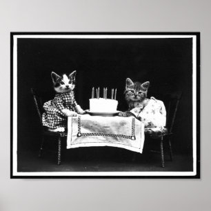 Katter och födelsedagsfoto poster