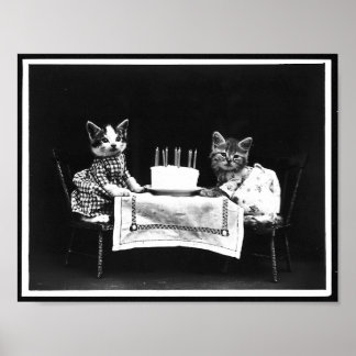 Katter och födelsedagsfoto poster