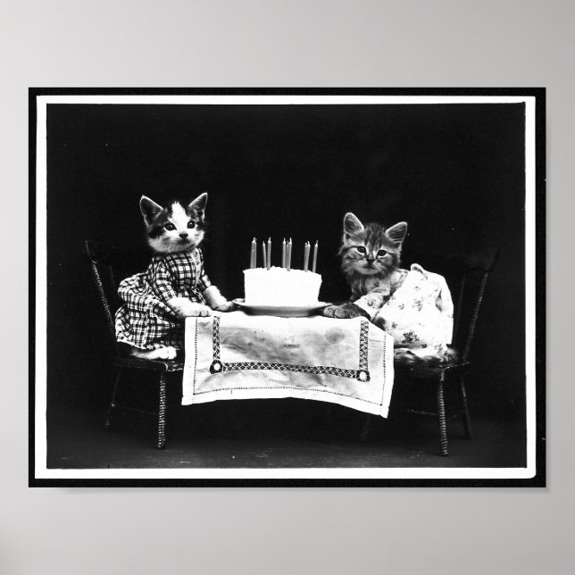 Katter och födelsedagsfoto poster (Framsidan)