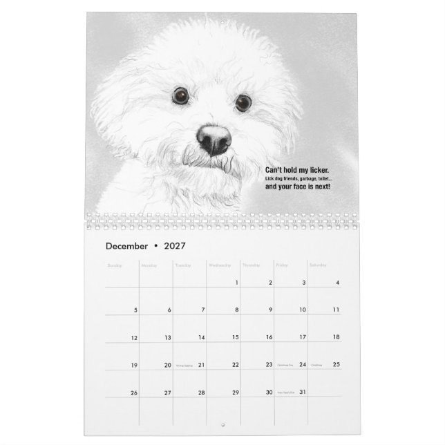 Katter och Hundar 2021 Haiku Kalender (Dec 2027)