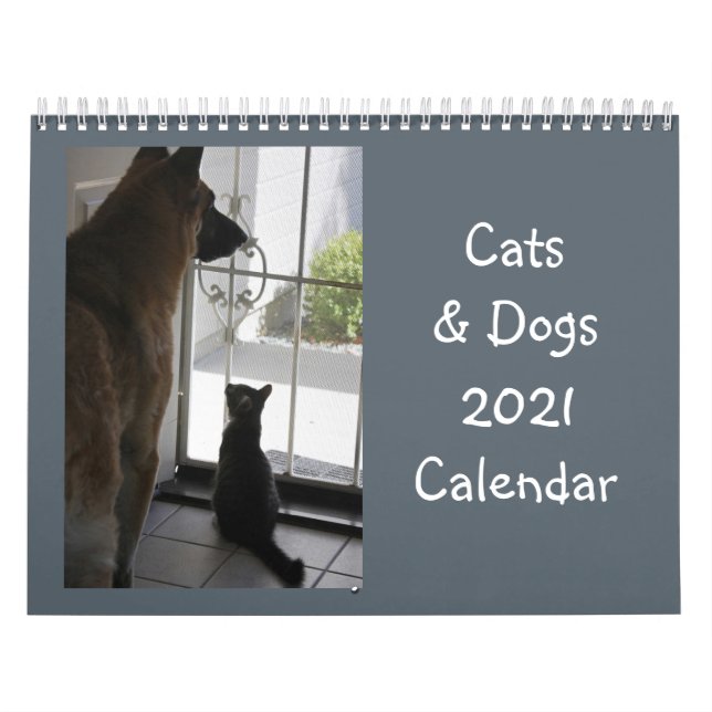 Katter och Hundar-kalender Kalender (Omslag)