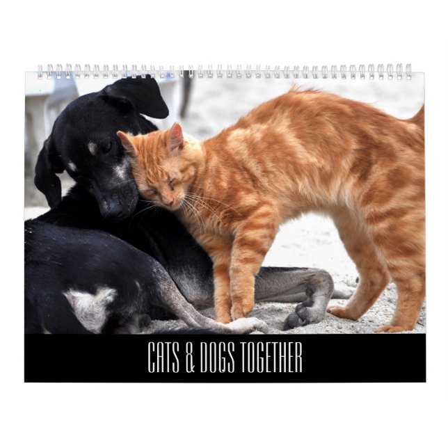 Katter och Hundar vänner tillsammans Kalender (Omslag)