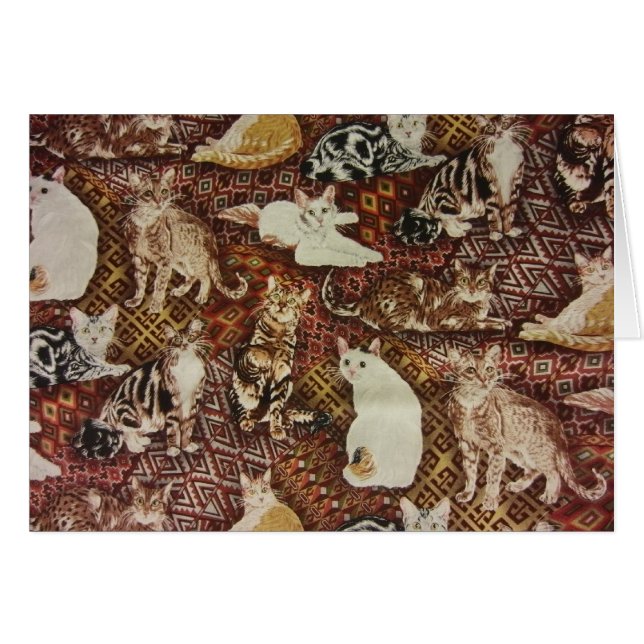 Katter och Kattunge Hälsningskort (Framsidan Horizontal)