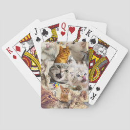 Katter och leksaker Collage Casinokort