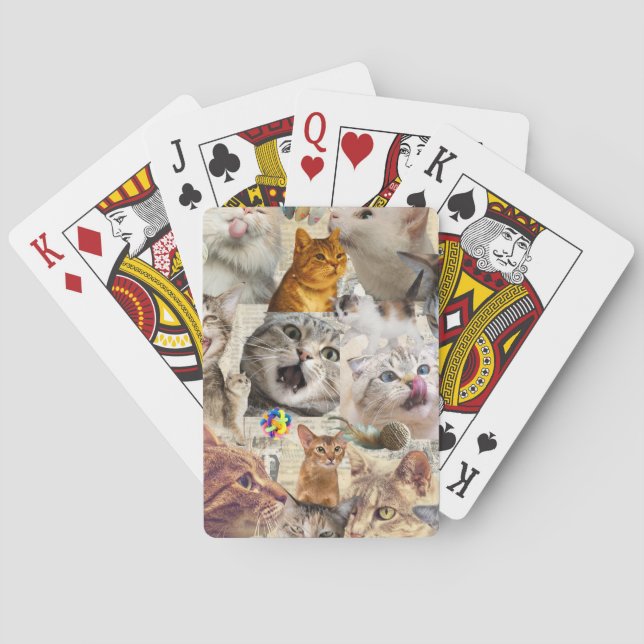 Katter och leksaker Collage Casinokort (Baksidan)