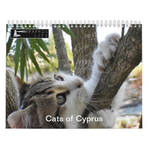 Katter på Cypern av PaphosLife Kalender